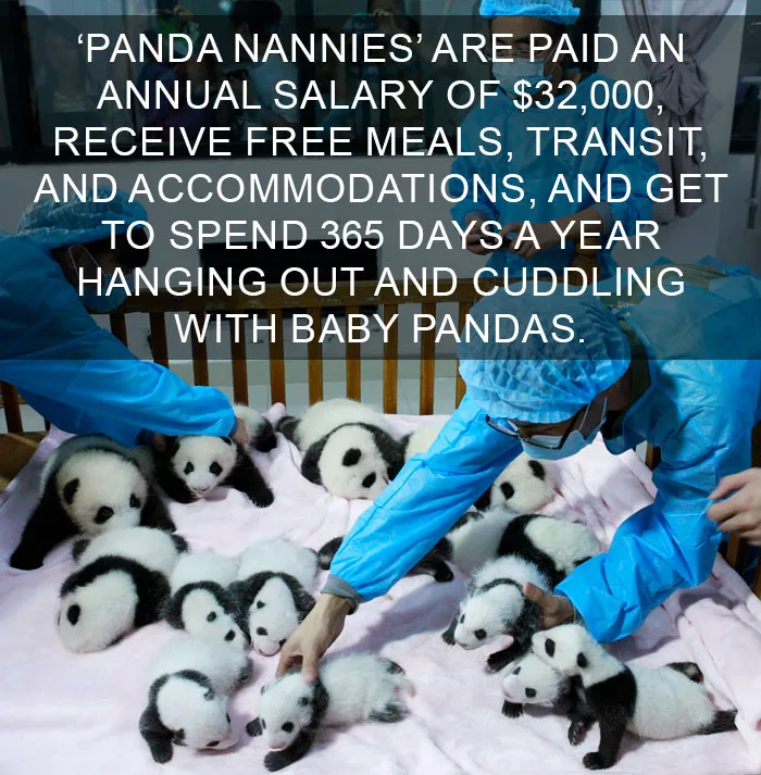 50 Of The Happiest Facts Ever That'll Make Your Day