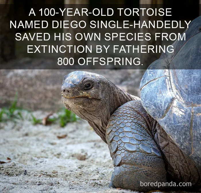 50 Of The Happiest Facts Ever That'll Make Your Day