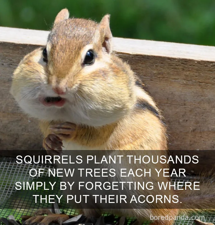 Happy Facts