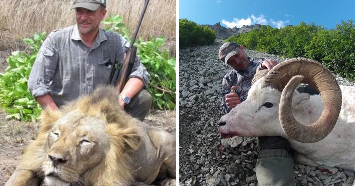 El veterinario que posó con el león muerto que cazó, fallece tras un accidente en una cacería