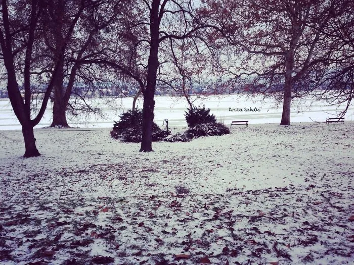 Winter