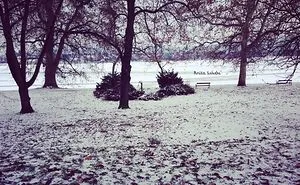 Winter