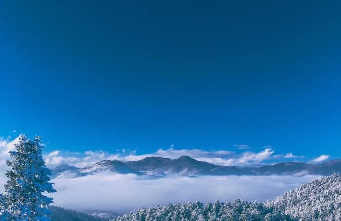 Mountain Vibes