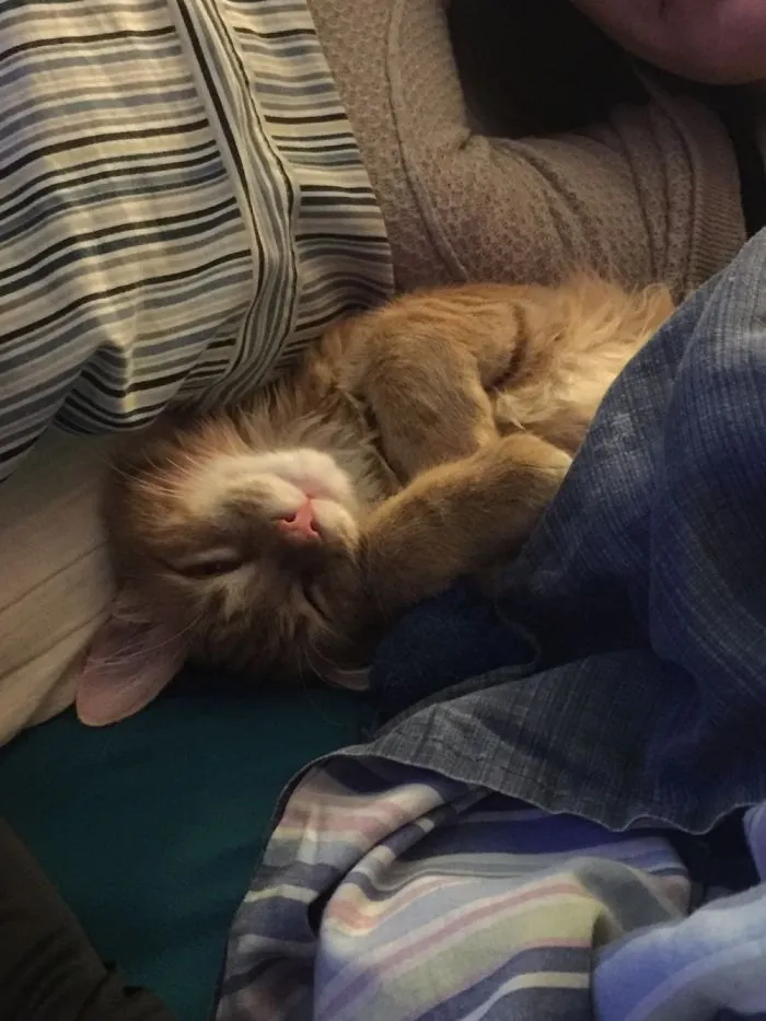 One Eye Open