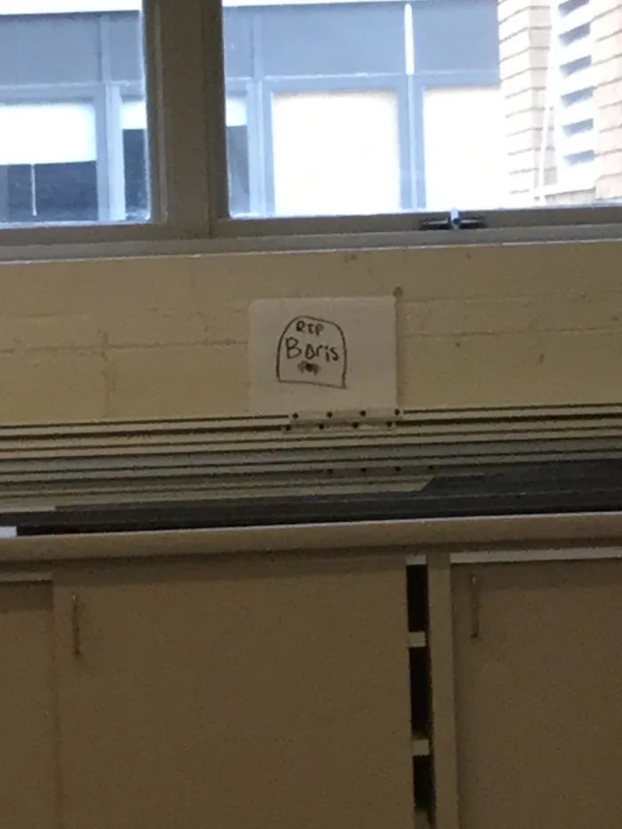 Weird Stuff I Find At School