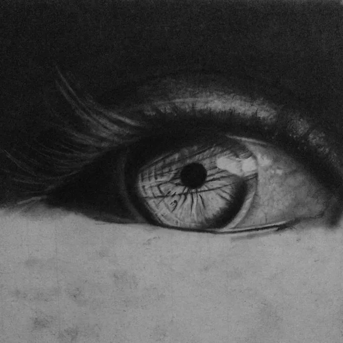 Hyper Realistic Drawings