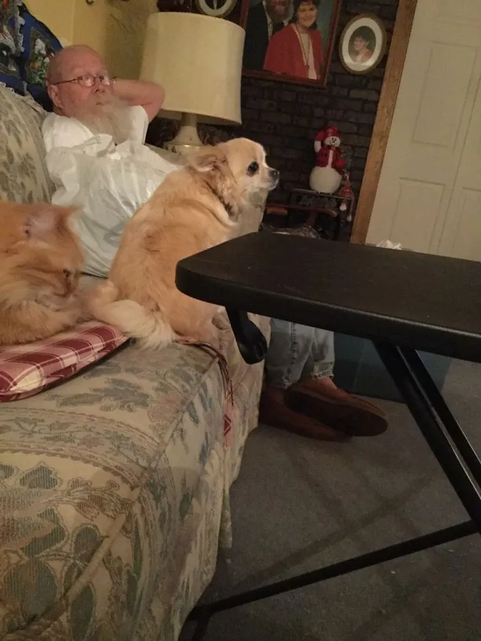 Puppy