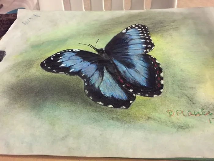 Butterfly