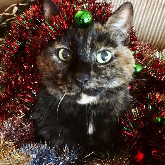 Decided To Decorate Herself.