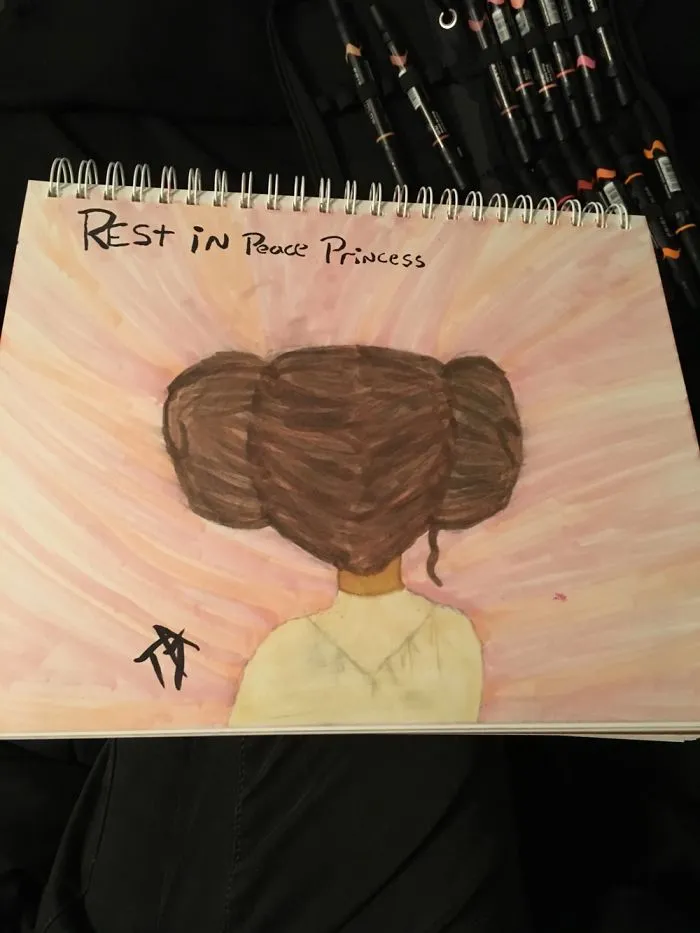 290 Touching Tributes To Late Carrie Fisher By Artists Around The World