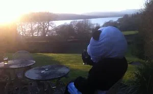 Relaxing Panda