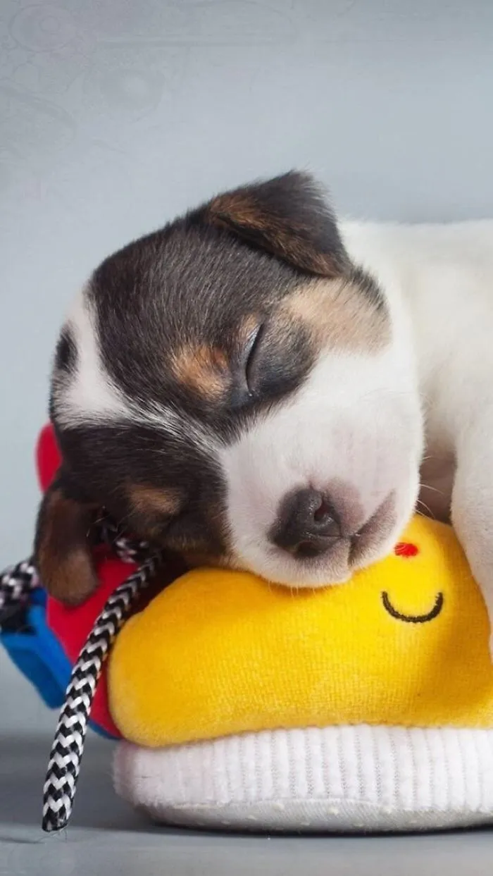 So Cute