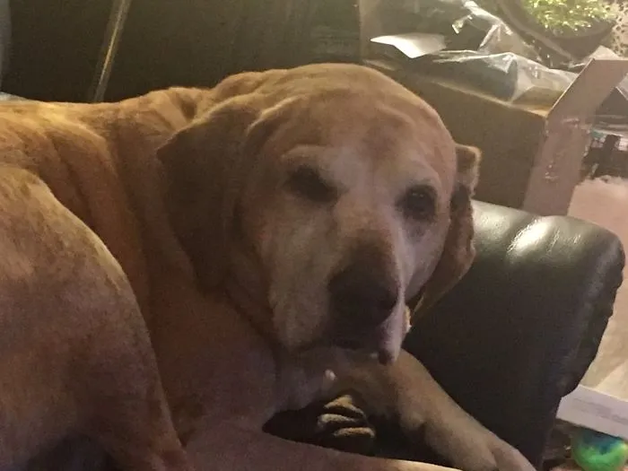 After Being Told She Is A Good Girl!