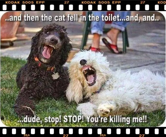 Omg