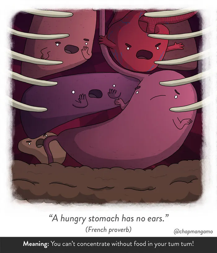 83 Odd Sayings From Around The World Illustrated Literally