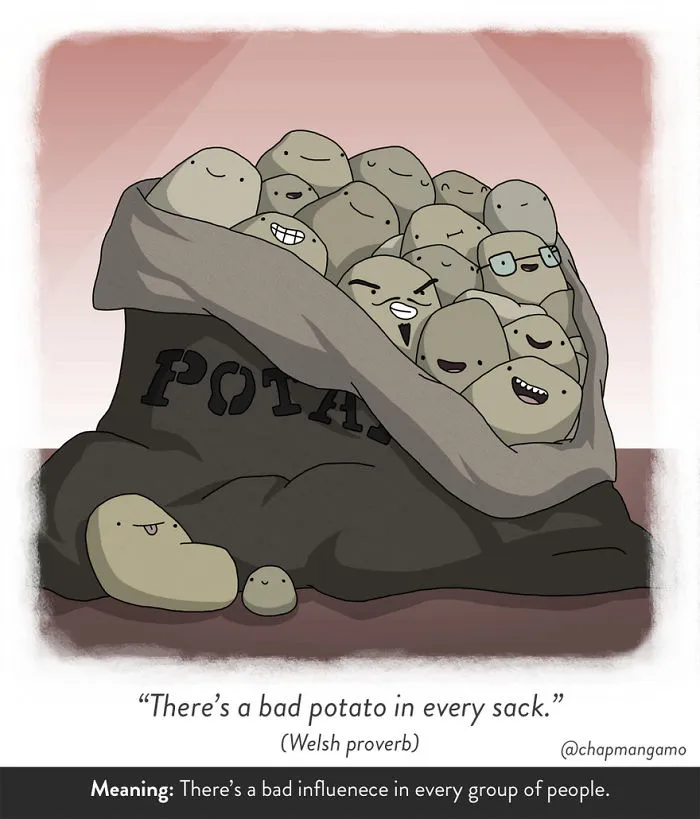 83 Odd Sayings From Around The World Illustrated Literally