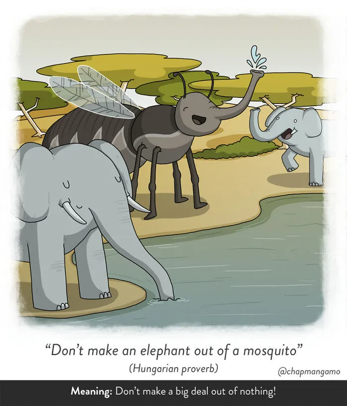 83 Odd Sayings From Around The World Illustrated Literally
