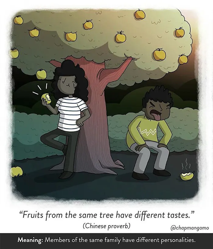 83 Odd Sayings From Around The World Illustrated Literally