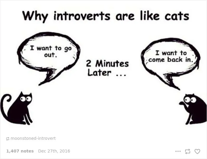 101 Introvert Problems That Hilariously Capture The Life Of An Introvert