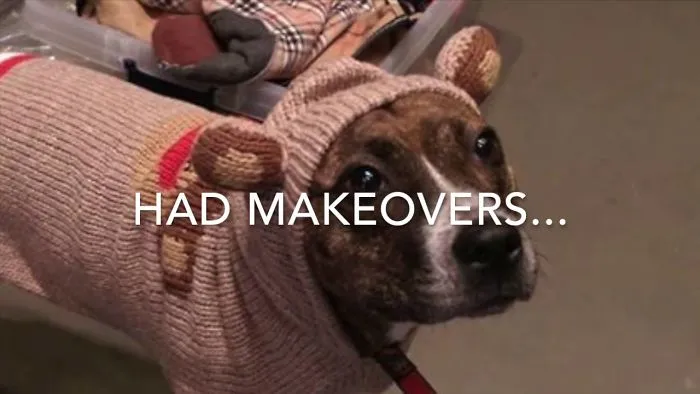 Peapod Is The Hottest Chick On Dog's Tinder