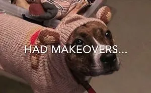 Peapod Is The Hottest Chick On Dog's Tinder