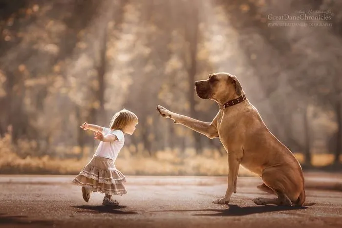 Little Kids And Their Big Dogs
