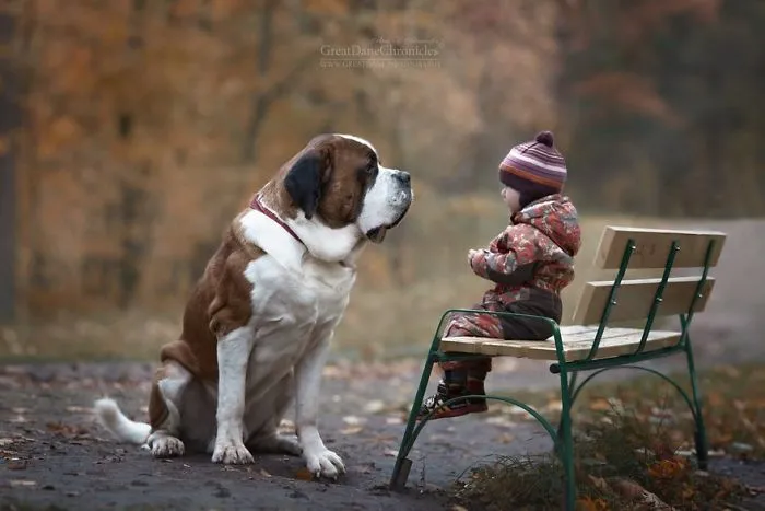 Little Kids And Their Big Dogs