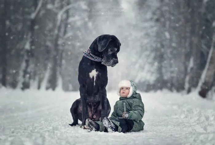 Little Kids And Their Big Dogs