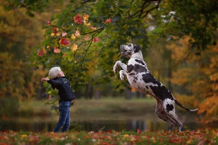 Little Kids And Their Big Dogs
