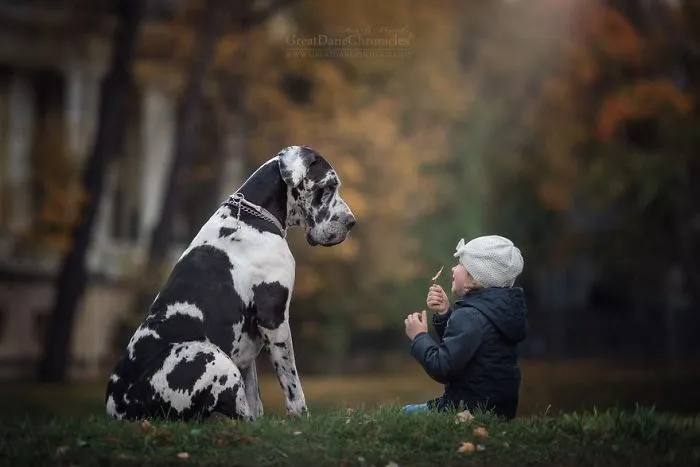 Little Kids And Their Big Dogs
