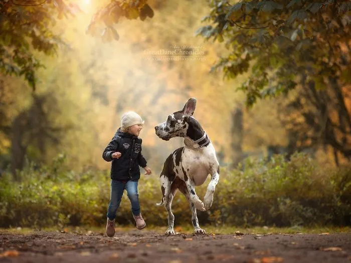 Little Kids And Their Big Dogs