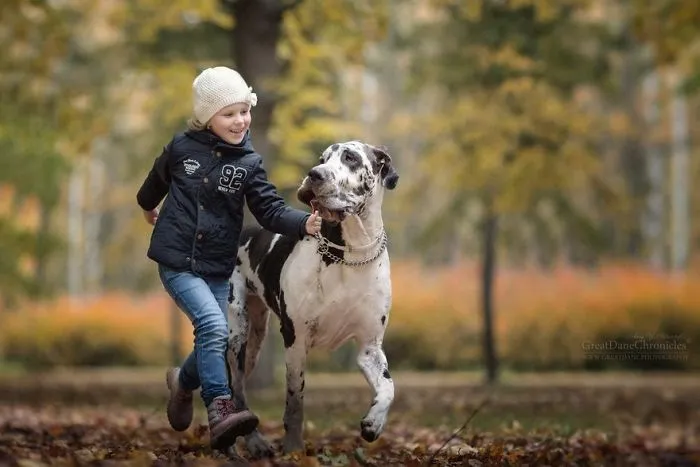 Little Kids And Their Big Dogs