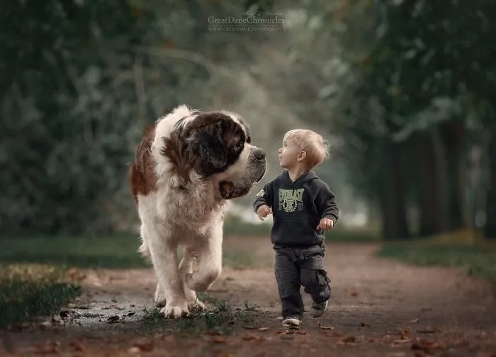 Little Kids And Their Big Dogs
