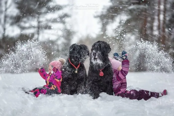 Little Kids And Their Big Dogs