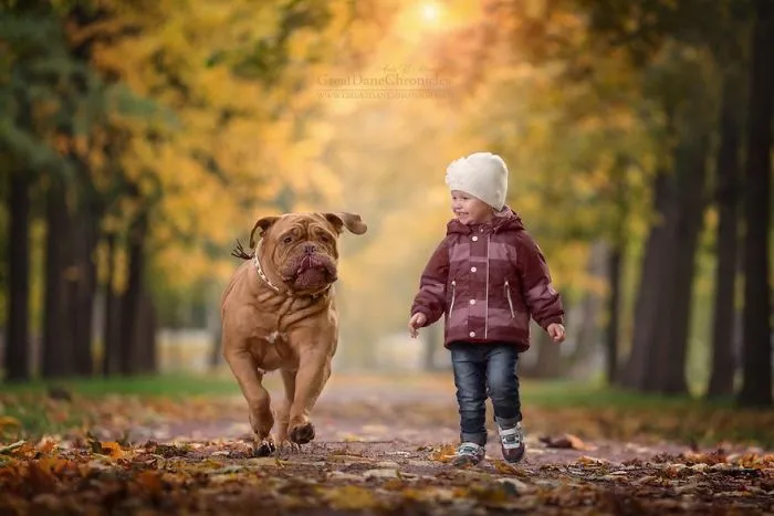 Little Kids And Their Big Dogs
