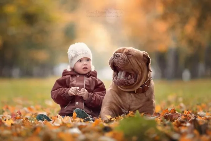 Little Kids And Their Big Dogs