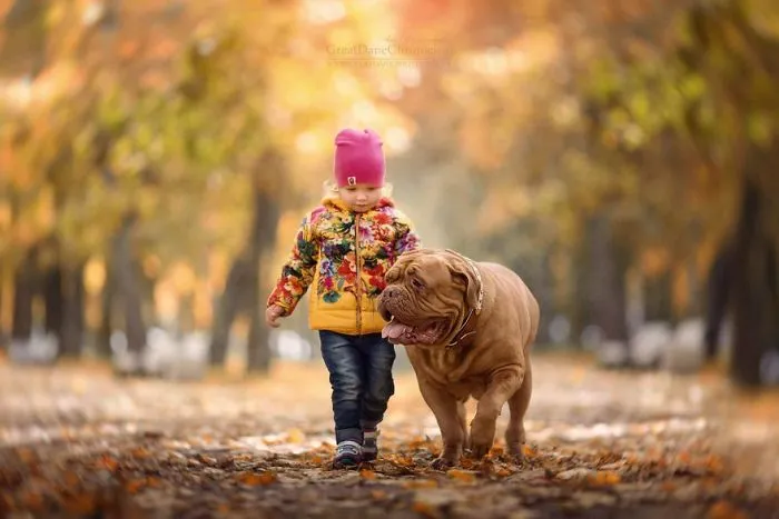 Little Kids And Their Big Dogs