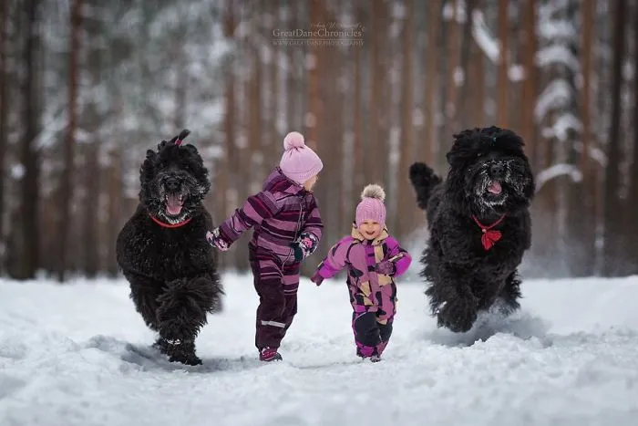 Little Kids And Their Big Dogs
