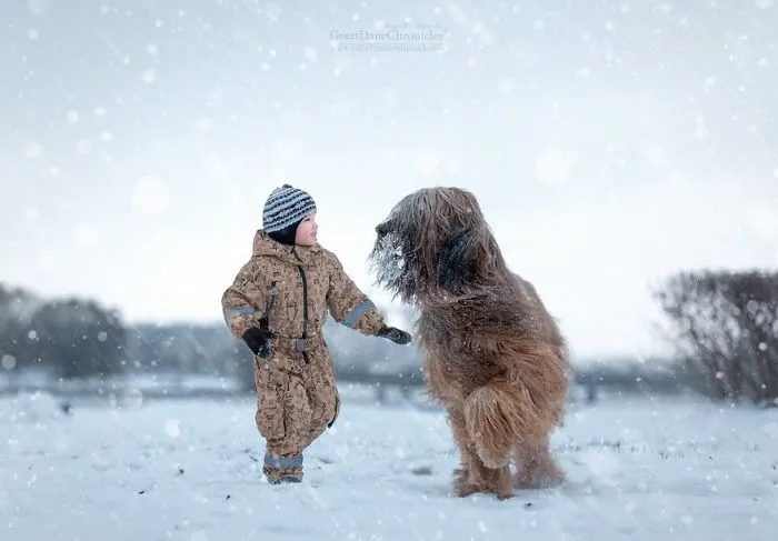 Little Kids And Their Big Dogs