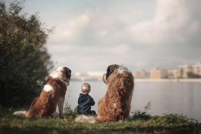 Little Kids And Their Big Dogs