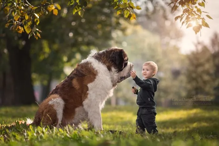 Little Kids And Their Big Dogs