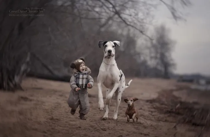 Little Kids And Their Big Dogs