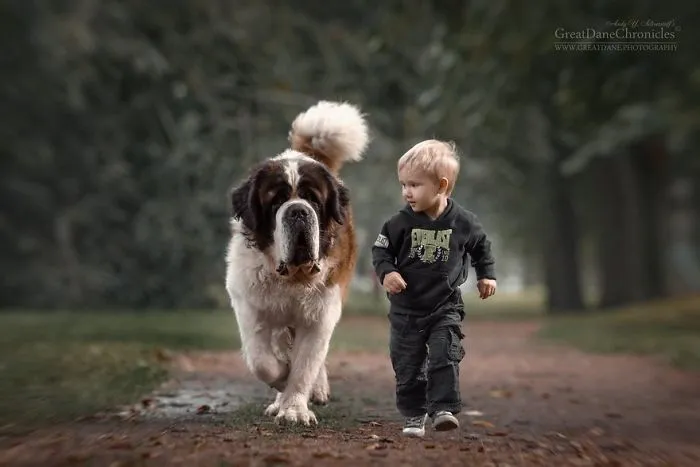 Little Kids And Their Big Dogs