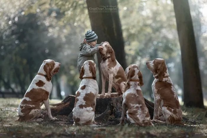 Little Kids And Their Big Dogs