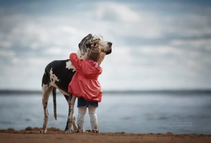 Little Kids And Their Big Dogs