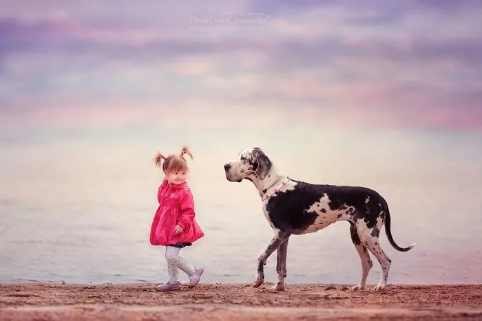 Little Kids And Their Big Dogs