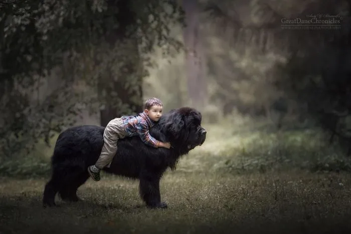 Little Kids And Their Big Dogs