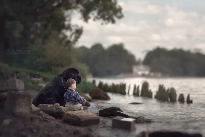 Little Kids And Their Big Dogs