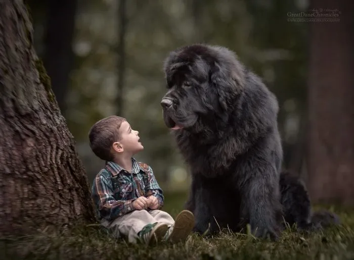 Little Kids And Their Big Dogs
