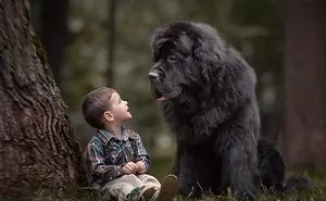 Little Kids And Their Big Dogs